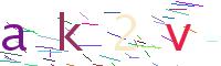 Verify Code