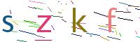 Verify Code